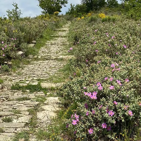 Casa Diciotto 多尔切多