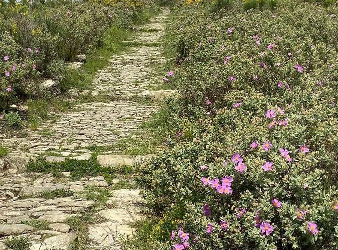 Casa Diciotto Dolcedo