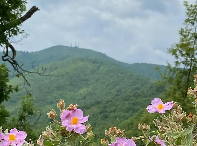 Casa Diciotto Dolcedo